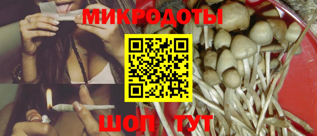 Галлюциногенные грибы GOLDEN TEACHER  Вход с VPN  Норильск 